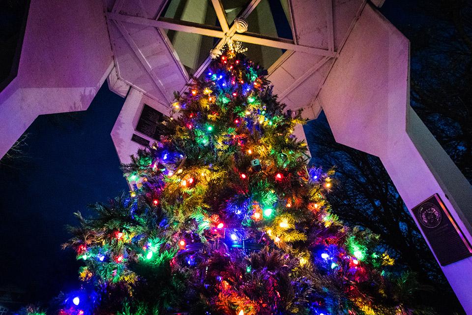 西北庆祝节日，多样性，包括在每年的圣诞树亮灯